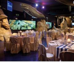 Location interna I Girasoli