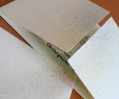 Inviti, buste e libretti della cerimonia