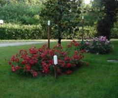 Parco del ricevimento di matrimonio