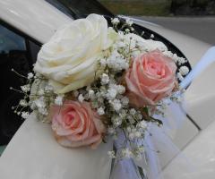 New Beetle Cabrio - L'eleganza in una foto