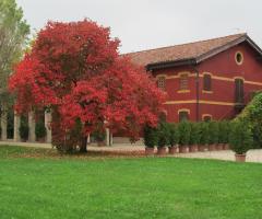 Ricevimento di matrimonio a Treviso