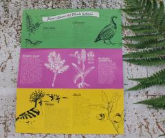 Wedding planner a Torino