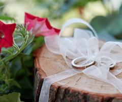 Nicola Genati Fotografo - La cura dei dettagli