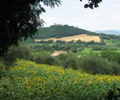 Agriturismo Baia Vallugola - in Lontananza