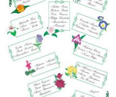 Tipografia Cervai - Stampa tableau personalizzati