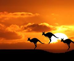 Viaggio di nozze in Australia