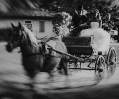 Nozze da favola - La carrozza per le foto ricordo