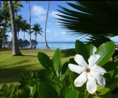 GemmaMed Travel - Il tuo viaggio da sogno