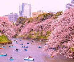 Josephine Di Brizzi - Scoprire il Giappone