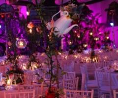 Alice in the Wonderland Theme - Matrimonio Esclusivo
