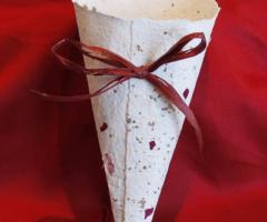 Coni portariso - L'Artigrafica snc