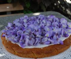 Il Frutto Permesso - Dolci per matrimoni