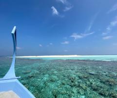 Costanza Demaldè CartOrange - Maldive