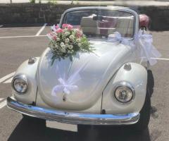 Maggiolone Cabrio - Za.Ma. Transfer FVG