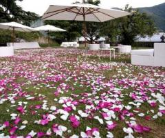 Allestimento floreale per il ricevimento di matrimonio