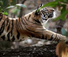 Malesya - Emozioni nel Mondo