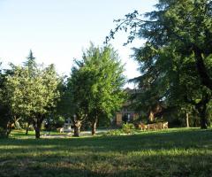 vista sul parco - Villa Crocioni