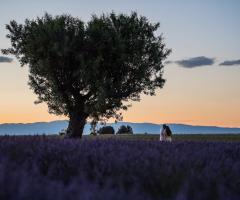 Dario Imparato Foto - Foto per il matrimonio a Pavia