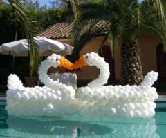 Cigni di palloncini per il matrimonio