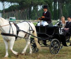 Special Car - L'originalità del Calesse