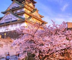 Vacanze da Mille Sfumature - Viaggio di nozze in Giappone