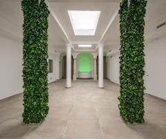 Terrazza Bonsai - Le Colonne