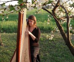 Elena Biasi Arpista - Musicista professionista a Reggio Emilia