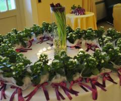 Nob Eventi - Addobbi floreali