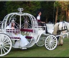 Nozze da favola - La carrozza Cenerentola