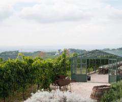 The V. Event Design - Allestimento green