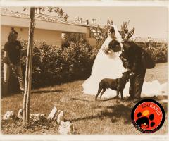 JMD Professionisti al vostro servizio