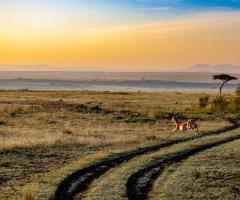 Trendviaggi - Safari Africa