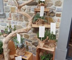 Sara Calligrafia - Tableau su carta