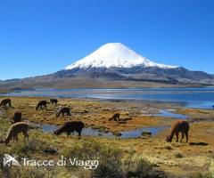 Viaggio di nozze in Cile