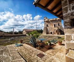 Tenuta Monacelli - Alcune dettagli della tenuta