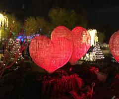 K.I.S. Travels & Events - L'amore ha mille forme e colori