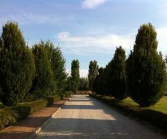Viale d'entrata del Ristorante Corte Benedettina