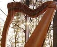 Dettaglio dell'arpa di Andrea Bonaldo