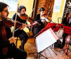 Violini per il matrimonio