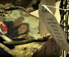 Massimo Cimiotti - Fotografo per cerimonie