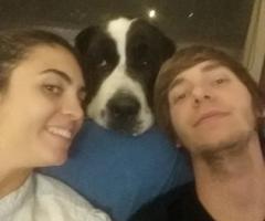 Fabrizio Maggio Dog Trainer - I dog sitter Desi e Fabri