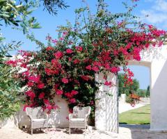 Masseria Eccellenza - Matrimonio in Puglia