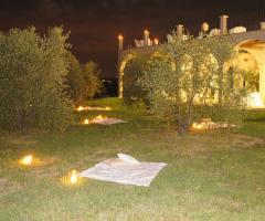 Allestimento notturno dell'uliveto