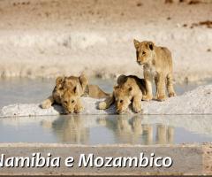 namibie e mozambico