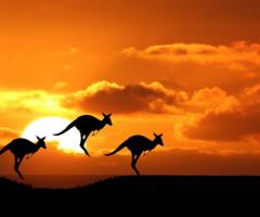 Josephine Di Brizzi - Vivi l'Australia