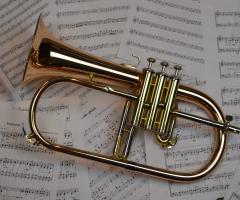 Duo Chamber Orchestra - Musica matrimonio Alessandria