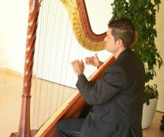 Intrattenimento musicale al matrimonio con arpa