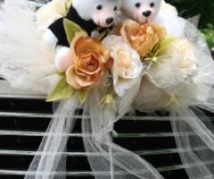 Addobbo su vettura per matrimonio