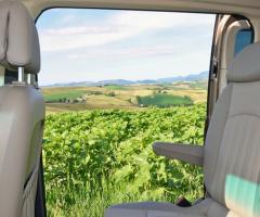 Interni della macchina per la cerimonia - Roxi Car