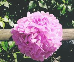 Allestimenti per feste di compleanno a tema - The Love Case